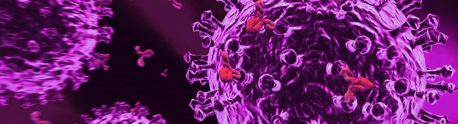 Immunsystem
