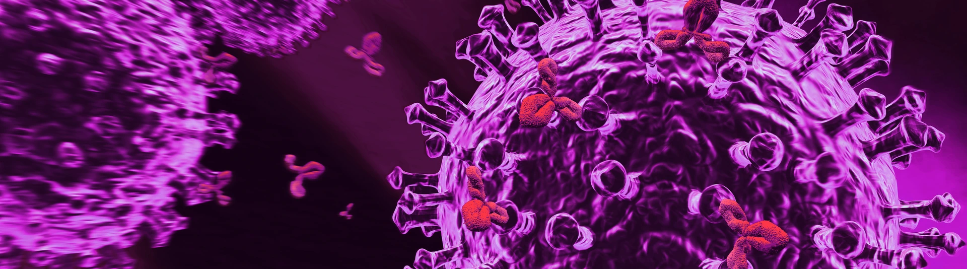 Immunsystem