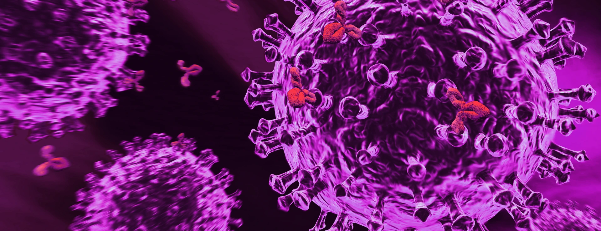 Immunsystem
