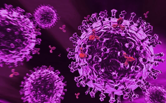 Immunsystem