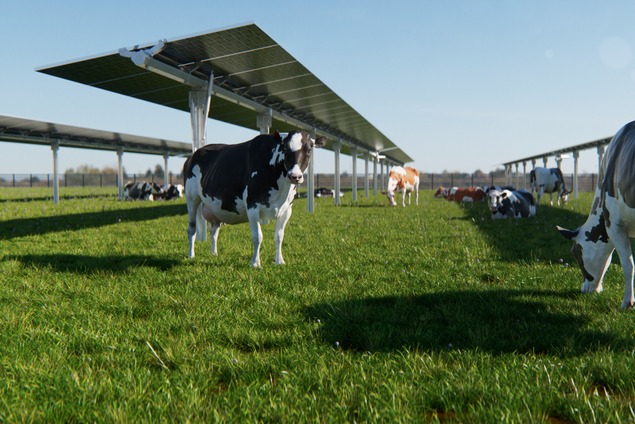 Production animale et agrivoltaïsme 