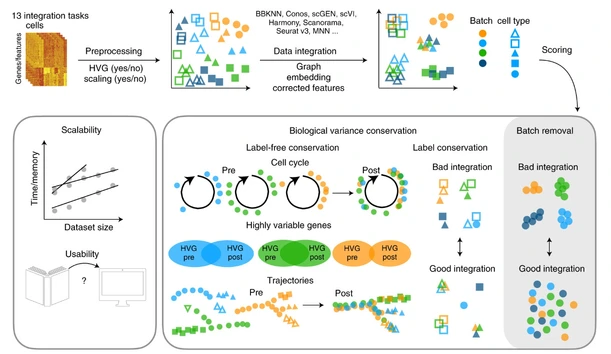 Single-cell integration benchmark