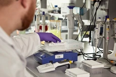 IDF Labor, Typ-1-Diabetes Forschung