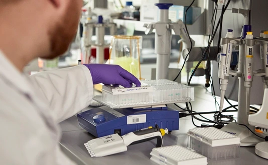 IDF Labor, Typ-1-Diabetes Forschung