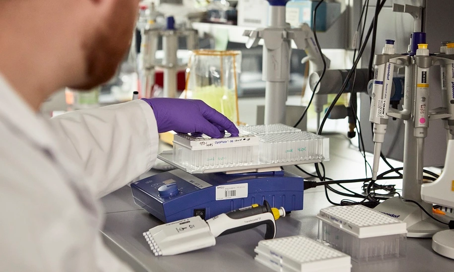 IDF Labor, Typ-1-Diabetes Forschung