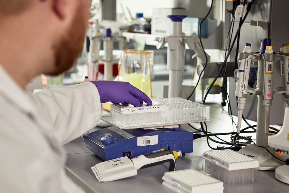 IDF Labor, Typ-1-Diabetes Forschung