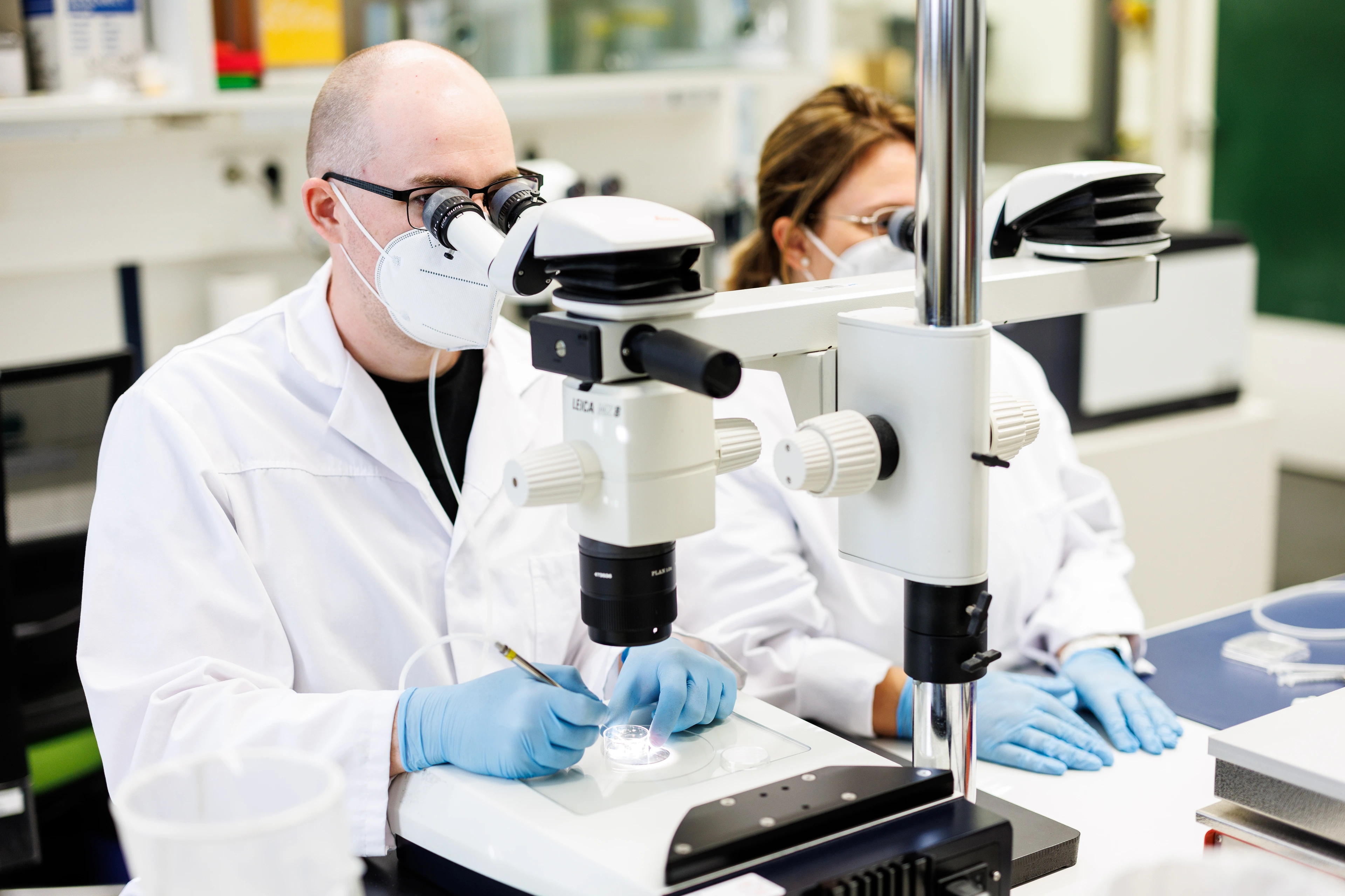 Washing animal embryos