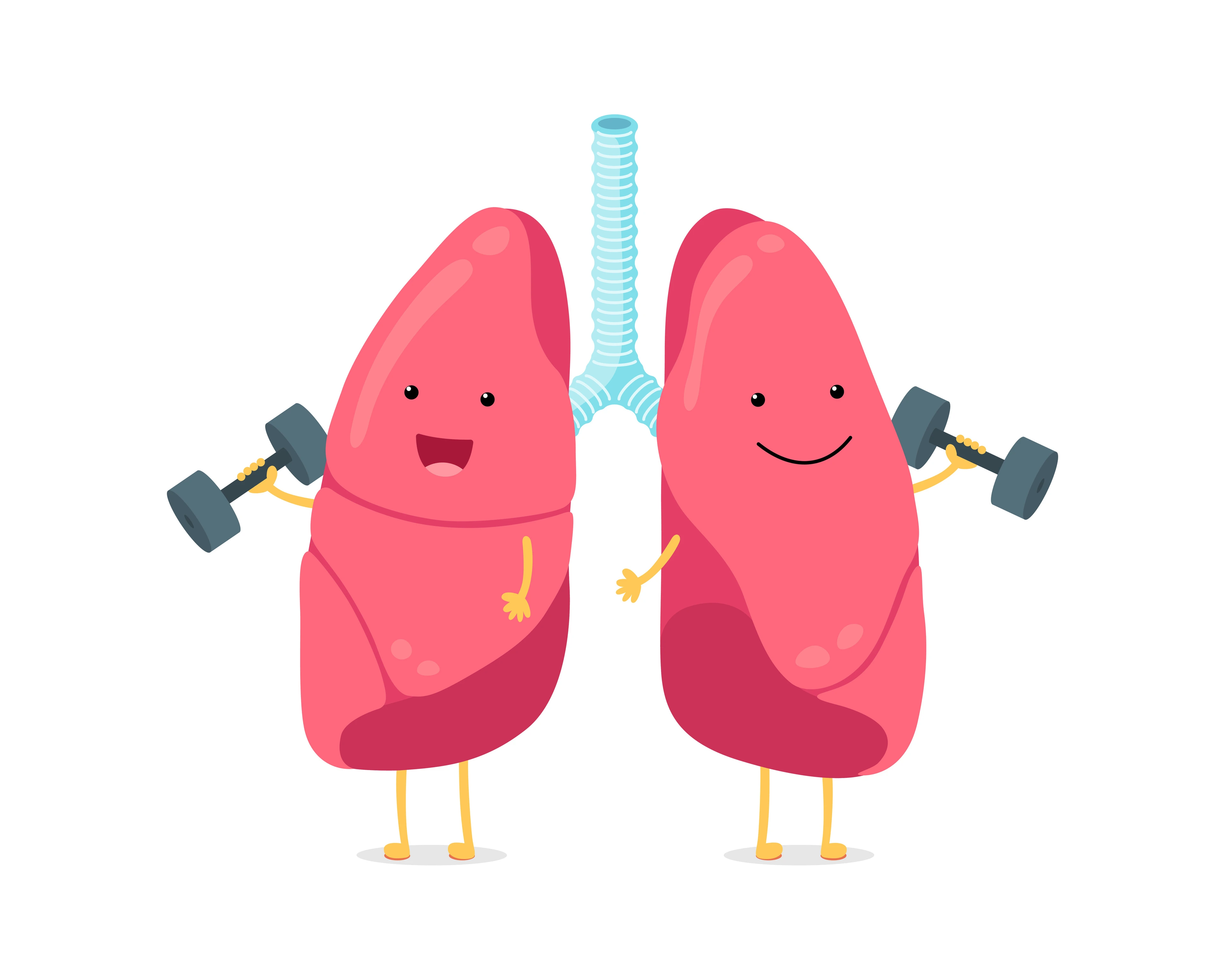 Cute cartoon funny lungs character with dumbbells. Strong smiling lung. Human respiratory system happy internal organ mascot. Medical healthy anatomy flat vector illusrtation