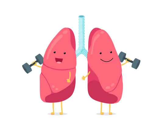 Cute cartoon funny lungs character with dumbbells. Strong smiling lung. Human respiratory system happy internal organ mascot. Medical healthy anatomy flat vector illusrtation