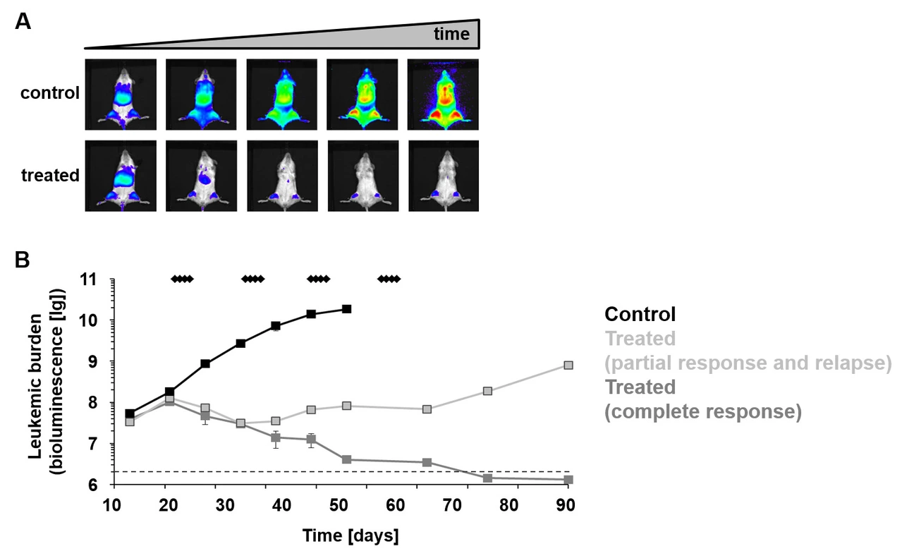 3_1_Preclinical_treatment_trials_on_PDX_cells_1