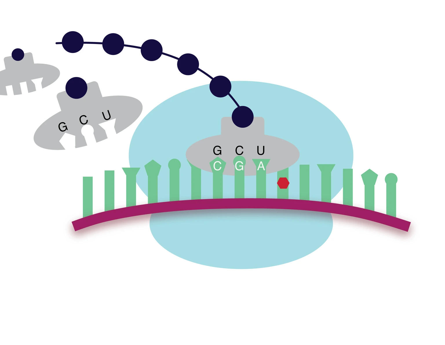 Graphical illustration EpiTranscriptome
