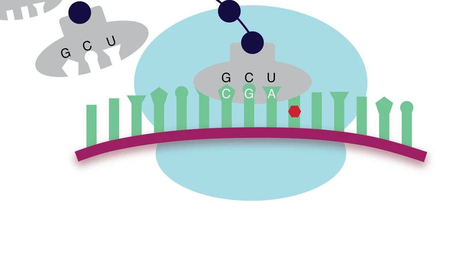 Graphical illustration EpiTranscriptome