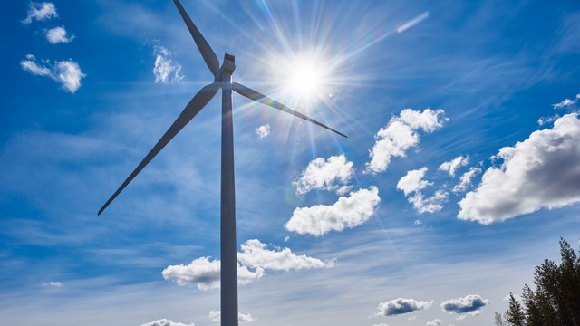 BayWa r.e. sells 62 MW Swedish wind farm to ERG