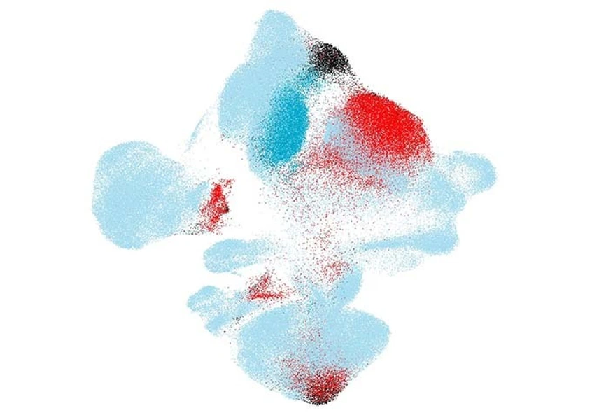 [Translate to German:] 