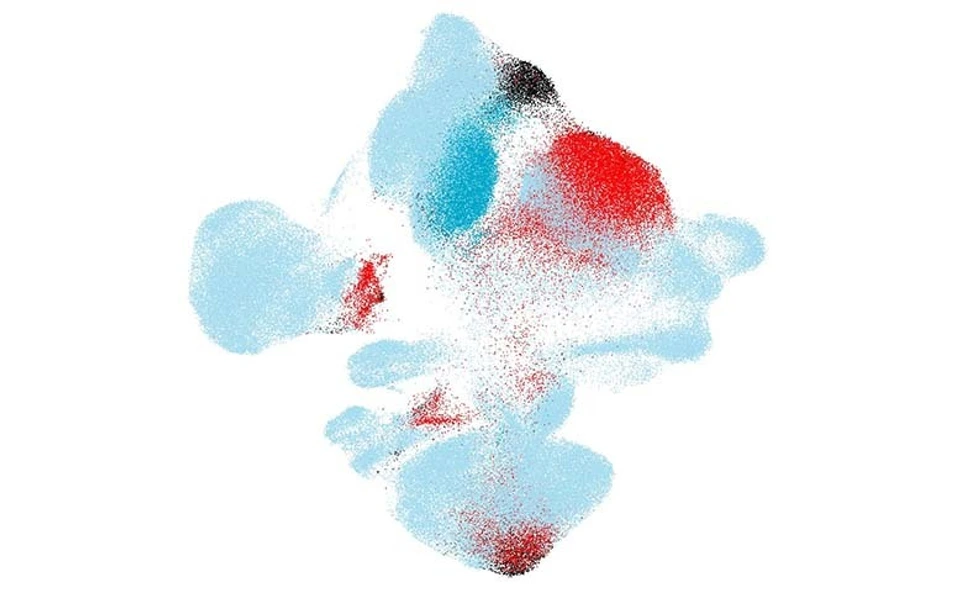 scArches plot 780x480px