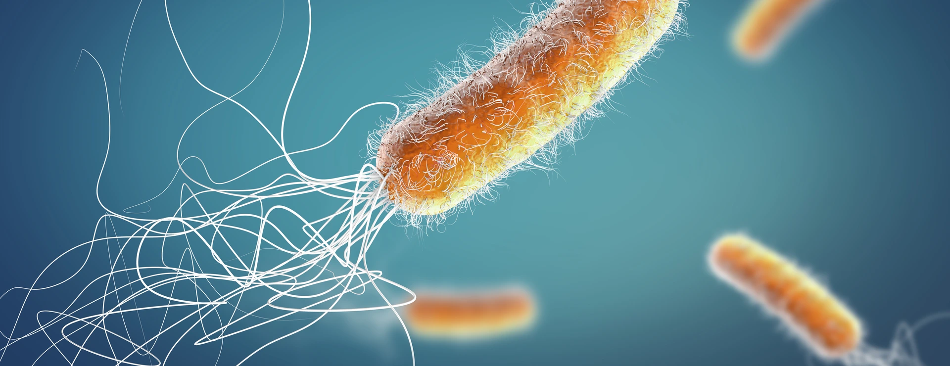 Orange colored multiple antibiotic resistant Pseudomonas aeruginosa bacterium - 3d illustration