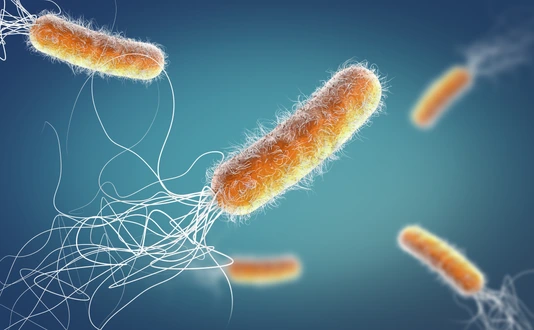 Orange colored multiple antibiotic resistant Pseudomonas aeruginosa bacterium - 3d illustration