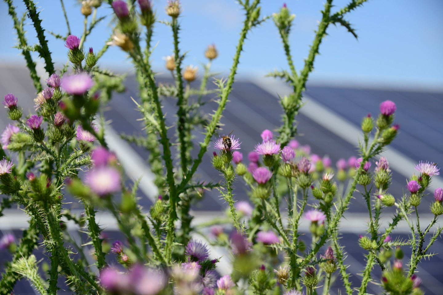 Sustainability