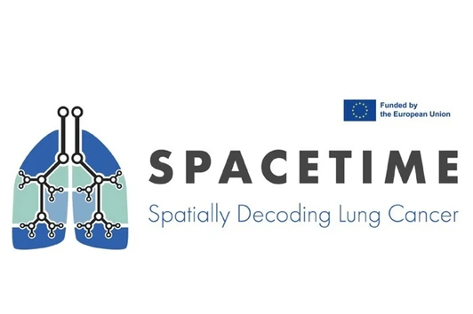 SPACETIME Logo