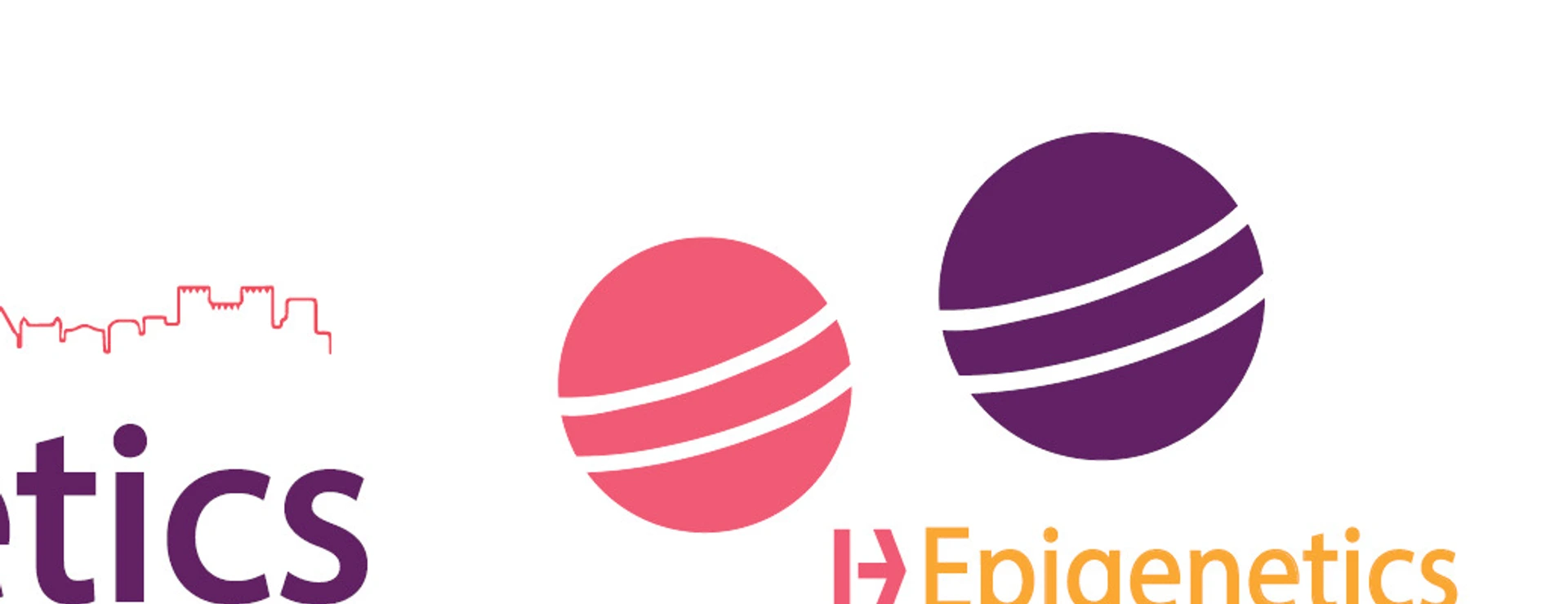Spotlight_Banner_1.png