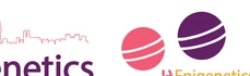 Spotlight_Banner_1.png