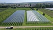 Gelsdorf, Germany (300 kWp)