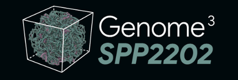 Research Affiliation logo of Daphne Cabiana - Genome 3 SPP2202