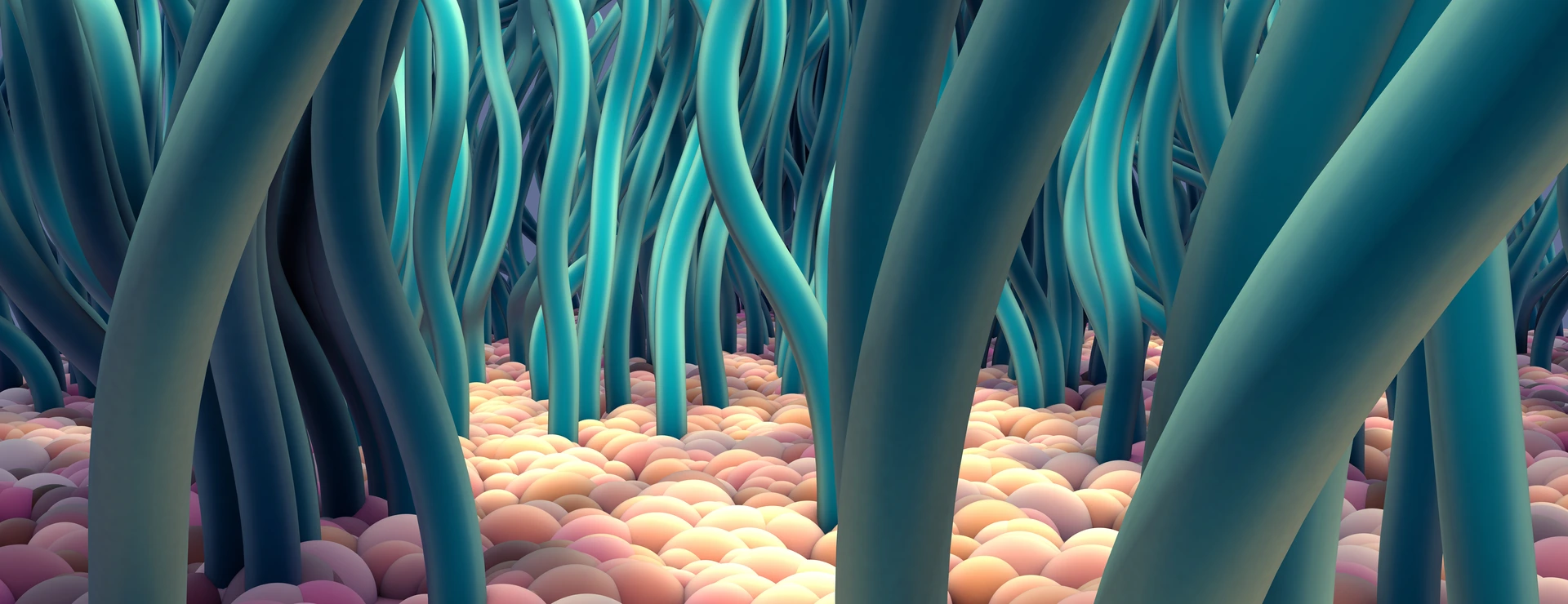 Ciliated Cells