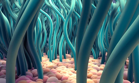 Ciliated Cells