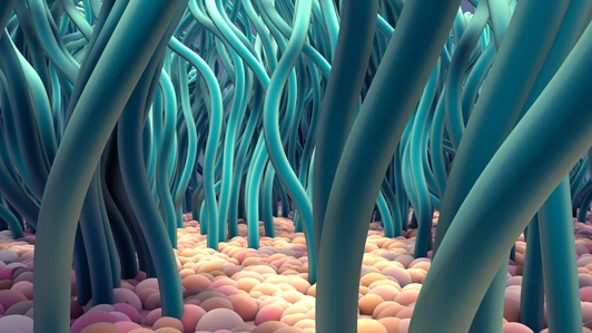Ciliated Cells