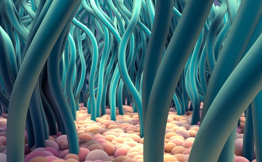 Ciliated Cells