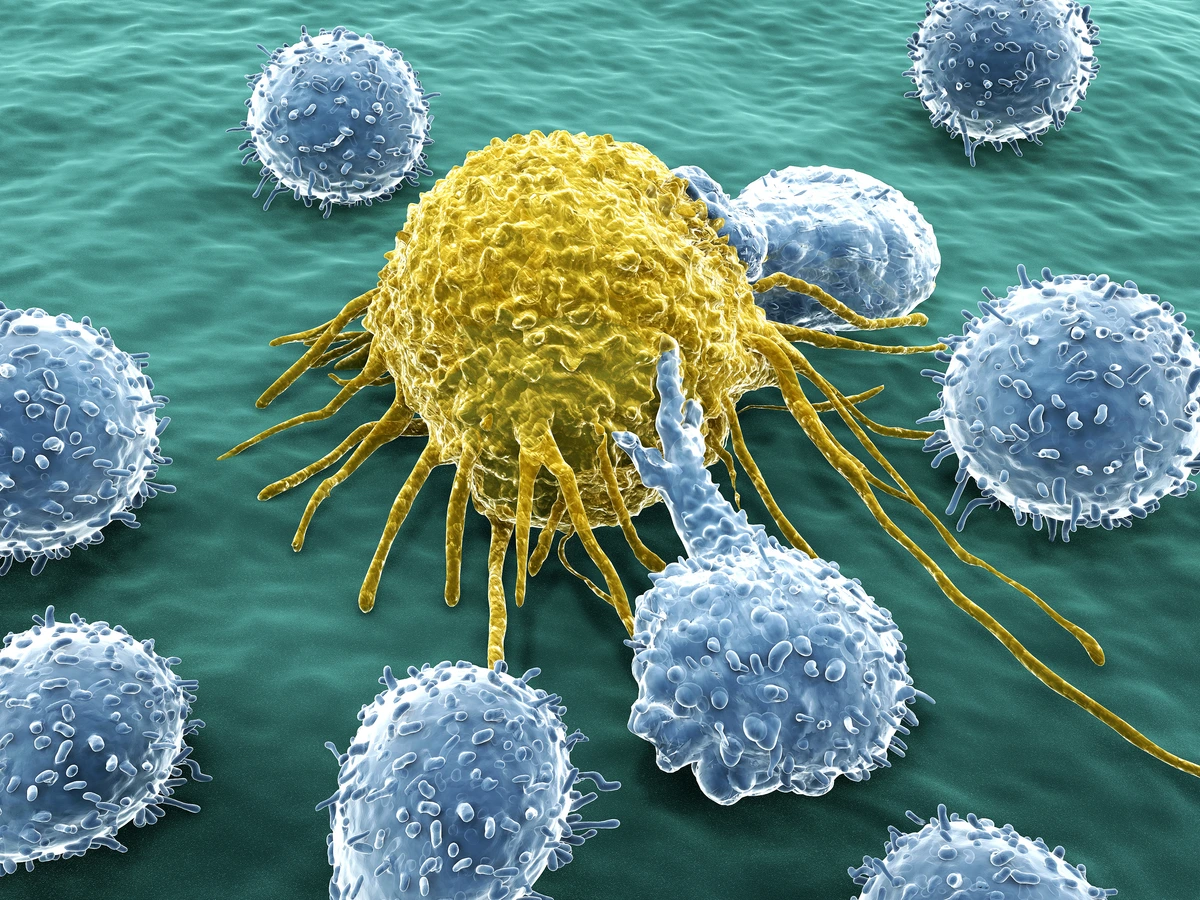 New targets for CAR-T cell therapy against acute myeloid leukemia ...