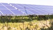 Notre démarche en faveur de la biodiversité