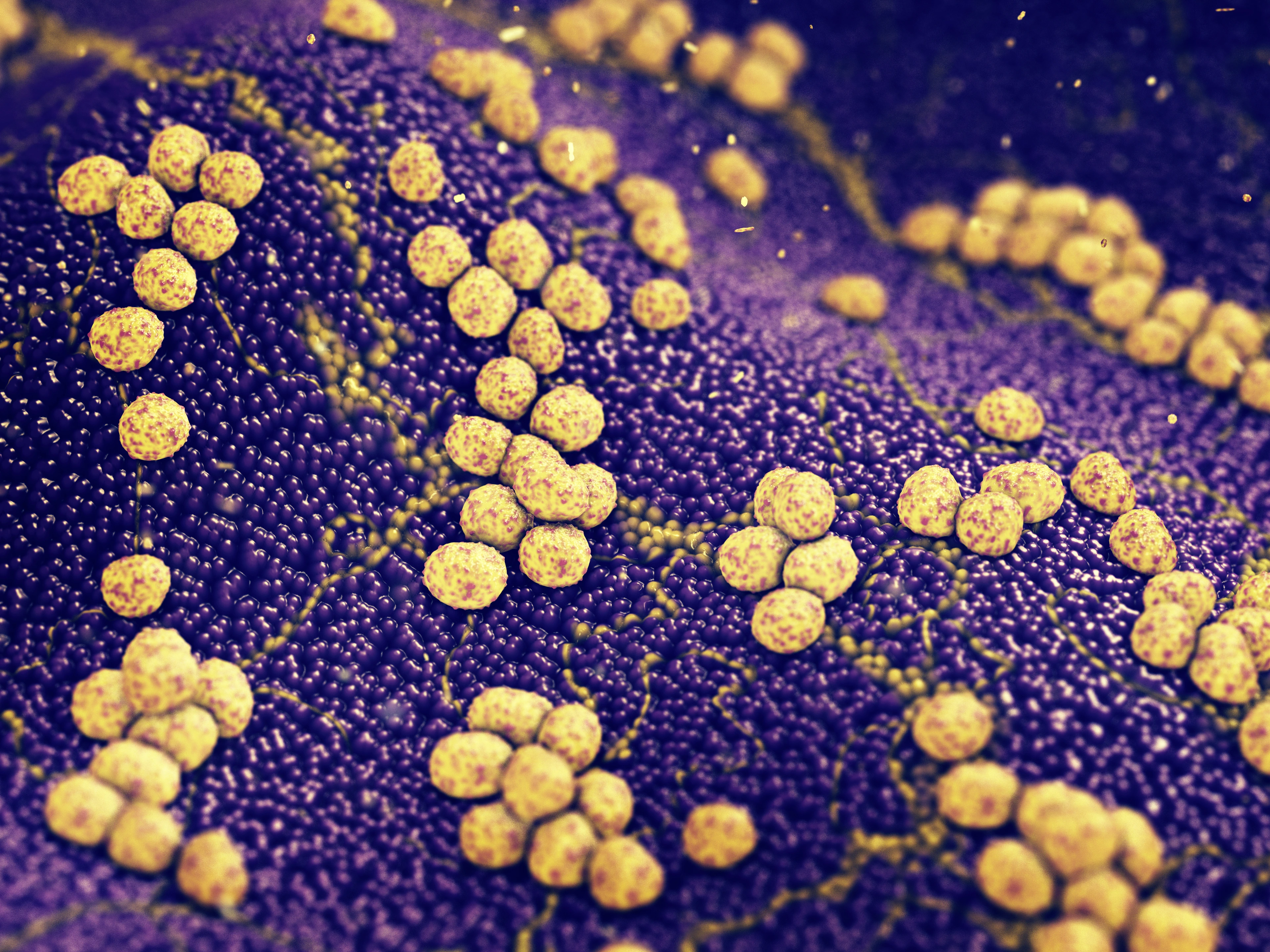 Antibiotic resistant infectious diseases