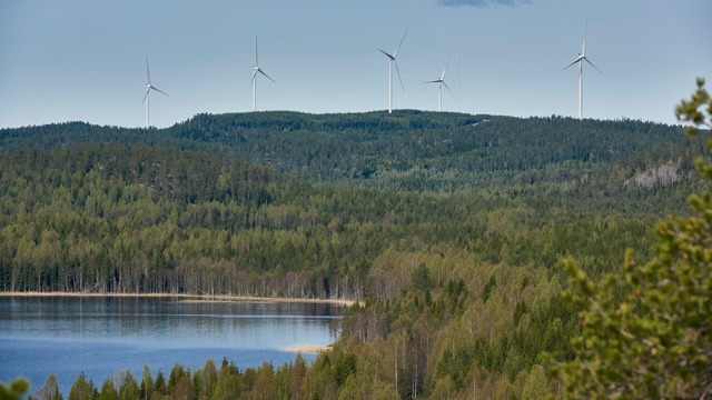 Études et concertation pour le projet éolien de Fourtou