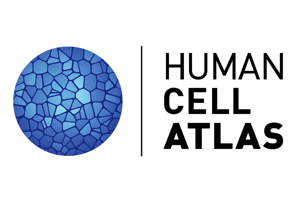 Human Cell Atlas Logo