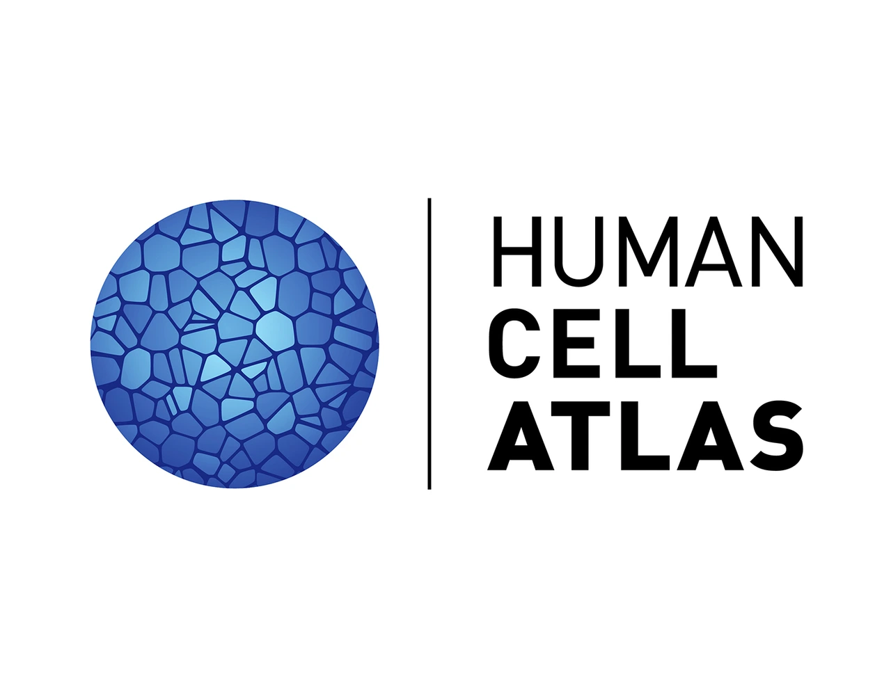 Human Cell Atlas Logo