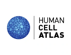 Human Cell Atlas Logo