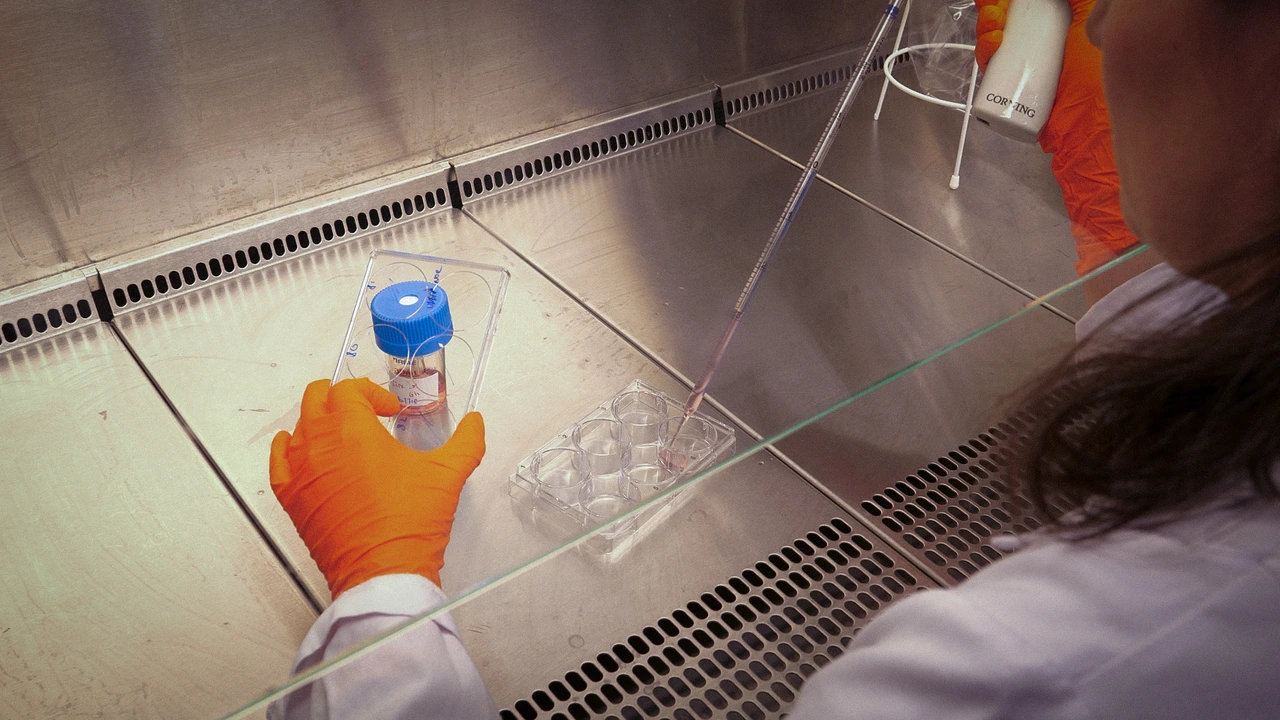 Semb Lab Behind the Scenes