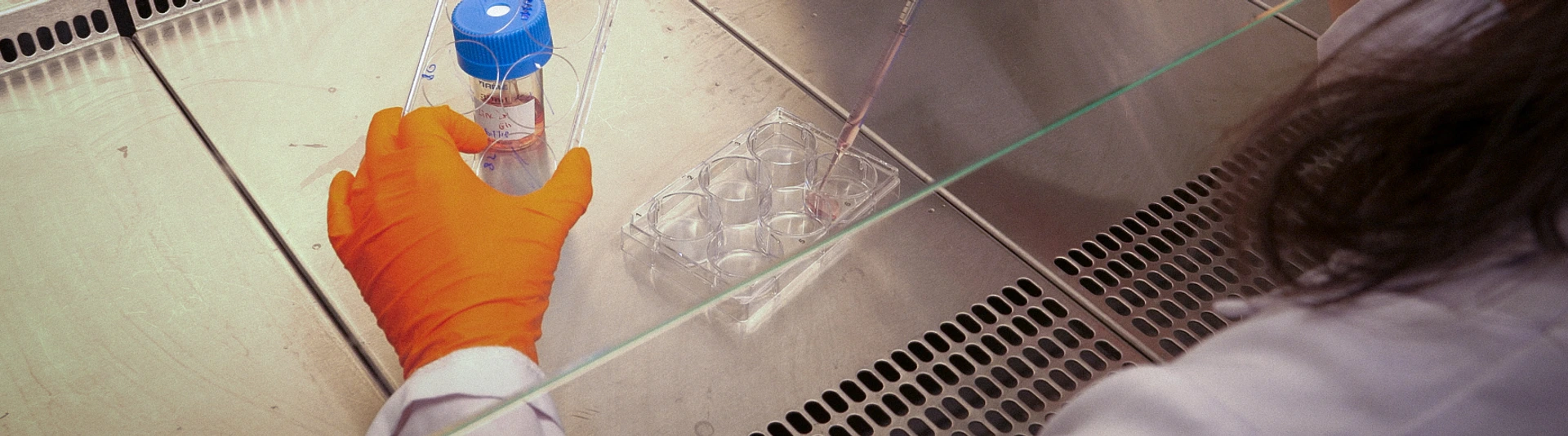 Semb Lab Behind the Scenes