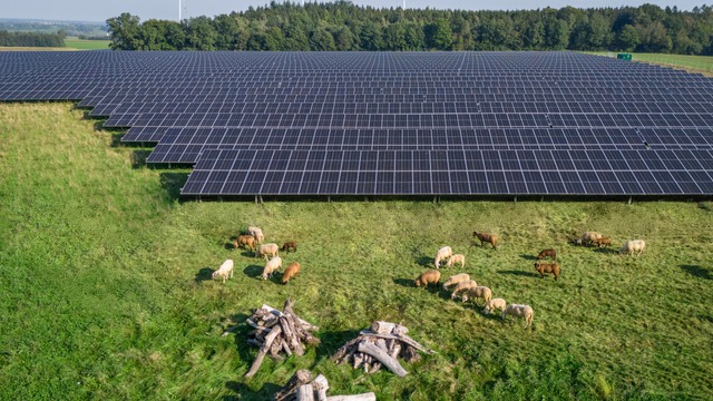 Grünpflege PV