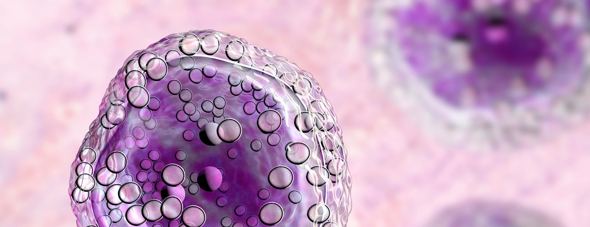 Burkitt's lymphoma cell, is a cancer of the lymphatic system