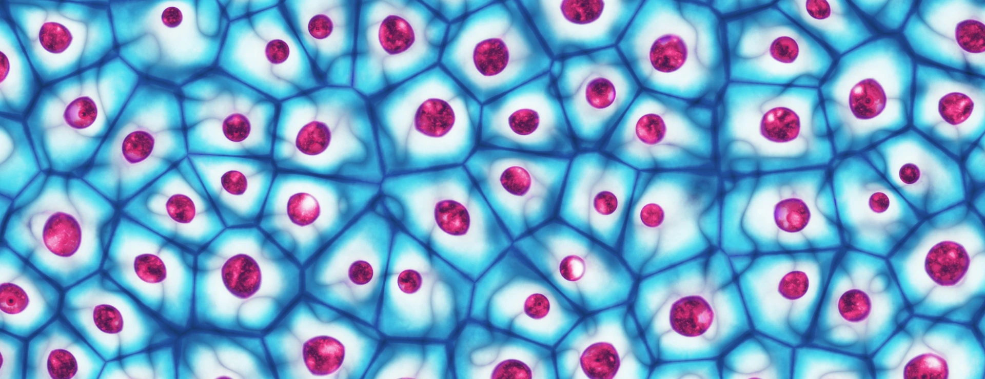 Embryonic stem cells colony under a microscope 3D illustration