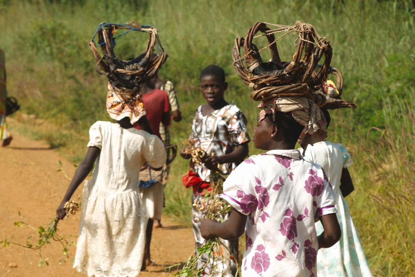 BayWa Foundation