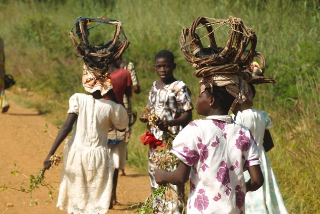 Helping to make sustainable energy better for everyone