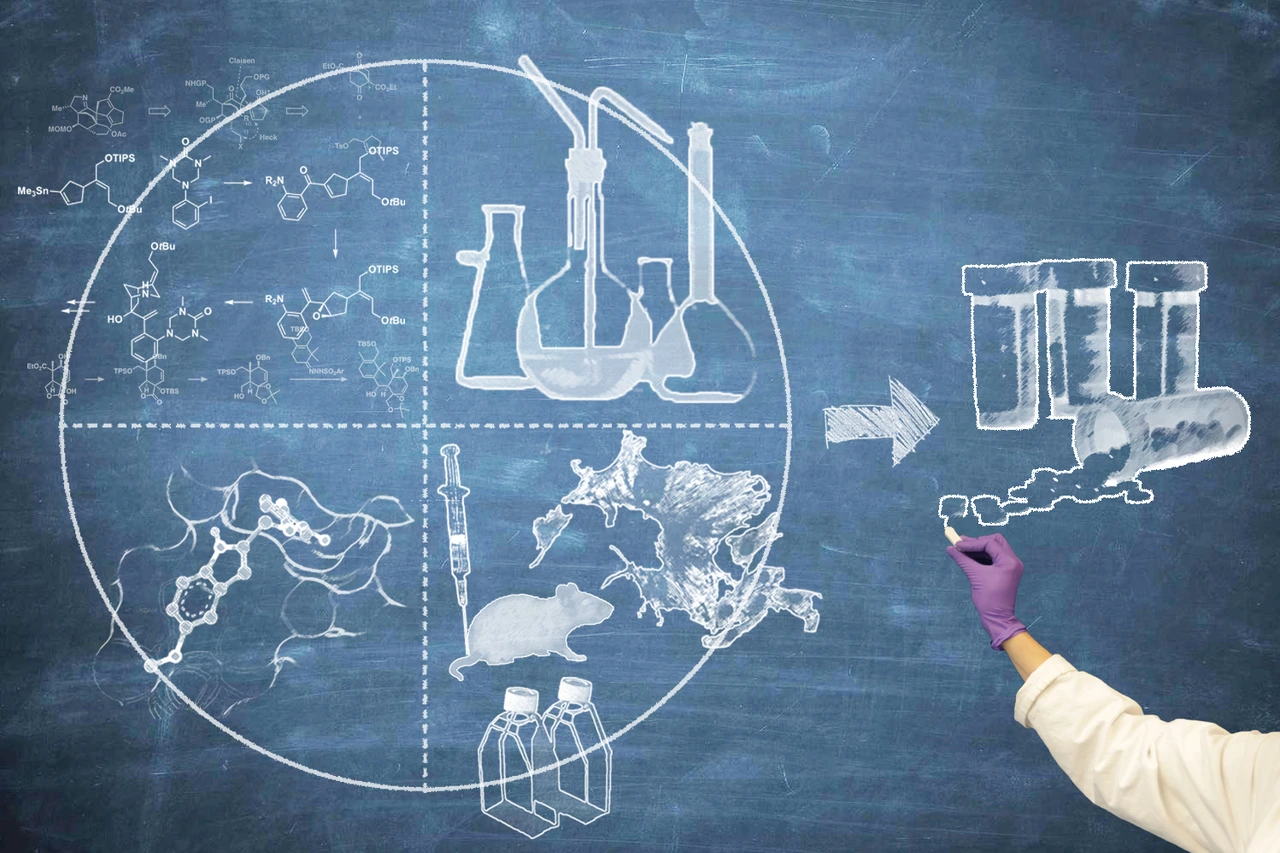 Übersicht zur Medizinalchemie