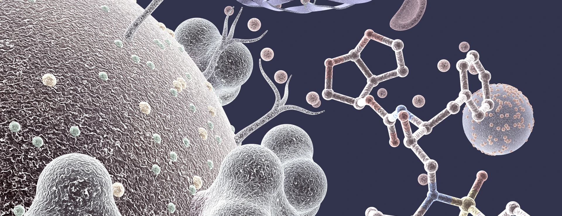 Viruses and Molecules