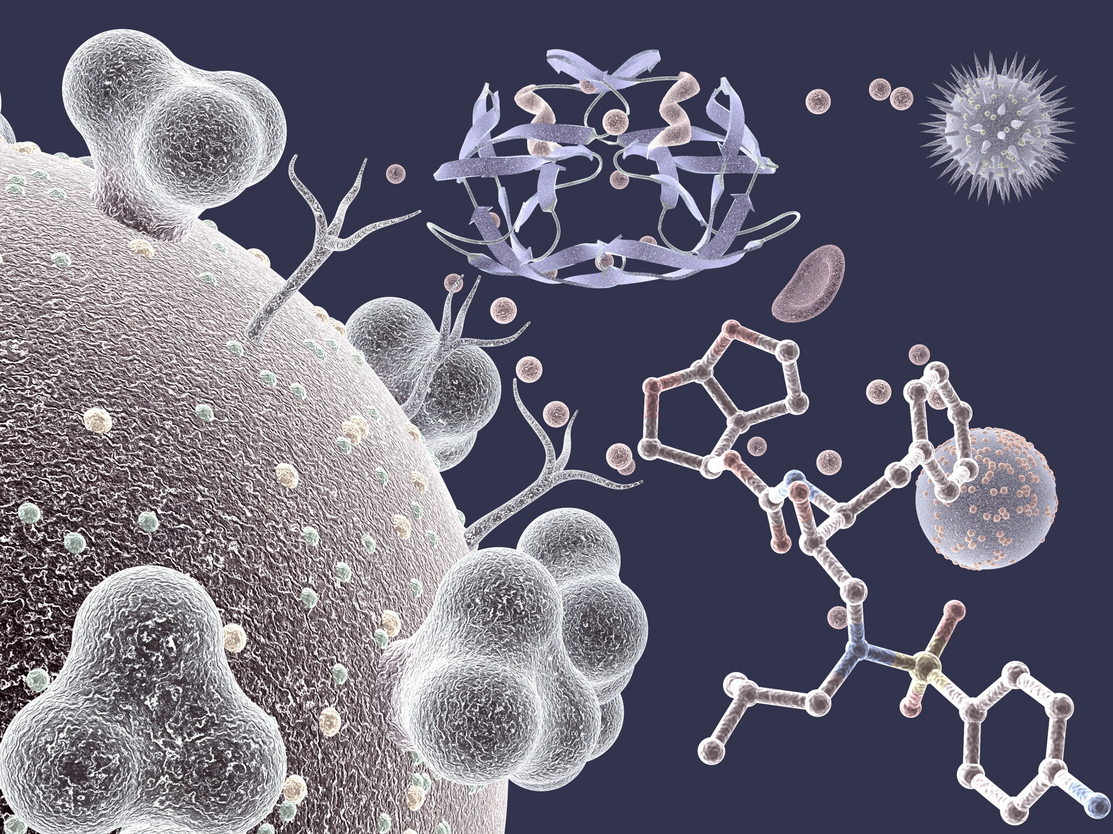 Viruses and Molecules