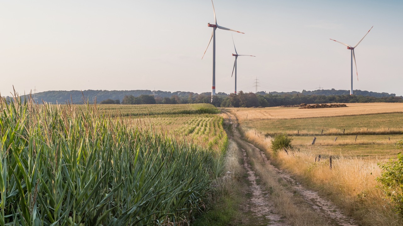 Multiple wind turbines