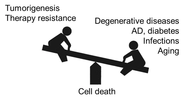 Cell Death Scale